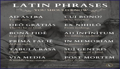 A Profile Of A Latin Beauty