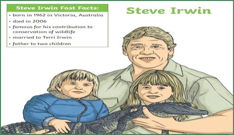 Why Was Steve Irwin Criticized? Unpacking Public Perceptions